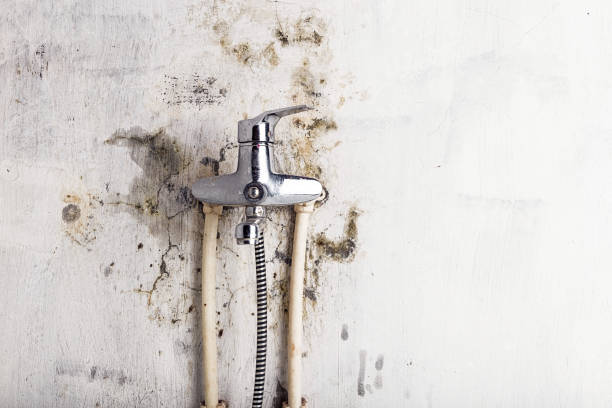 Best Bathroom Mold Remediation in Wading River, NY