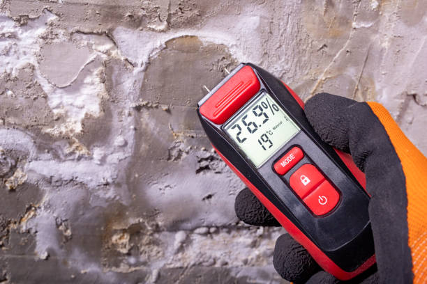 Best Basement Mold Remediation in Wading River, NY
